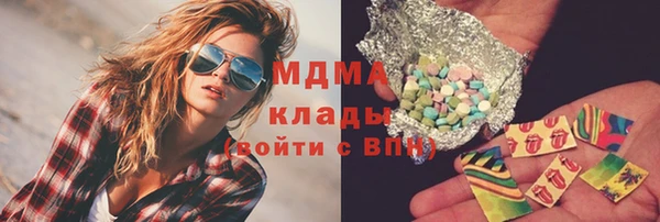 индика Богородицк
