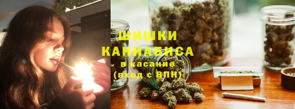 индика Богородицк