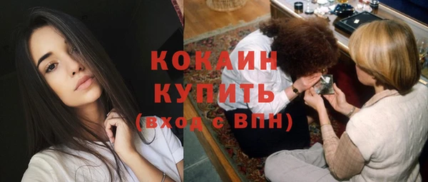 индика Богородицк