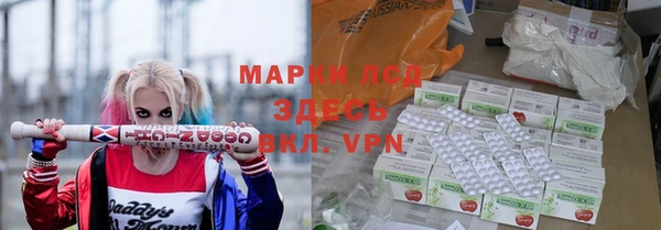 индика Богородицк