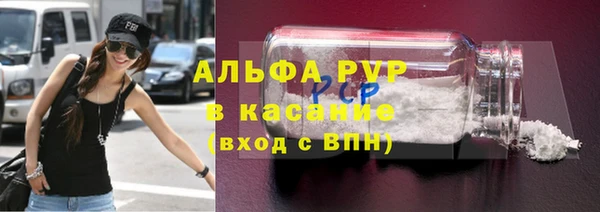 индика Богородск