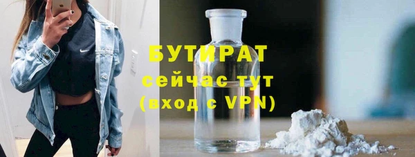 индика Богородск