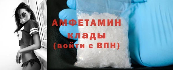 индика Богородицк