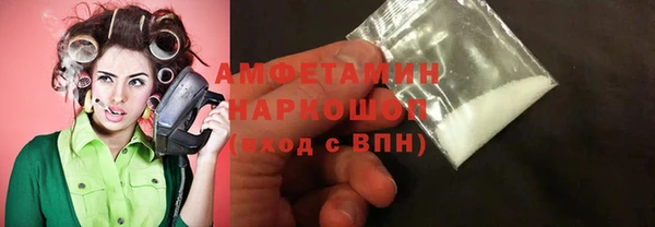 индика Богородицк