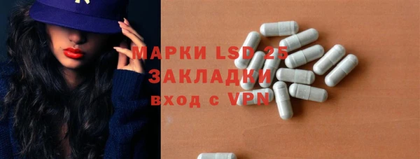 индика Богородицк