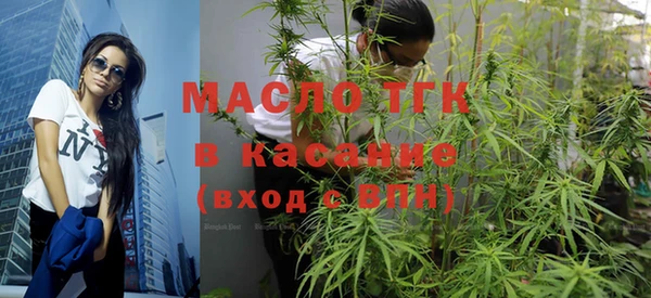 индика Богородск