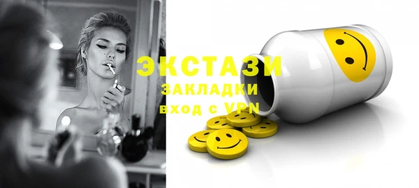 индика Богородск