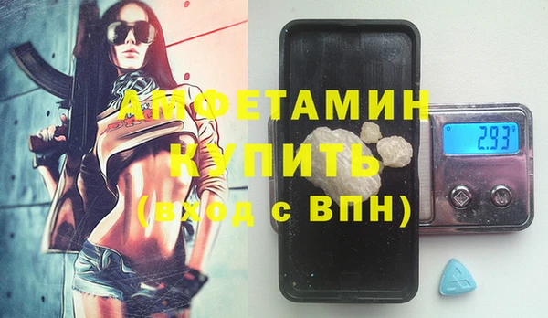 индика Богородск