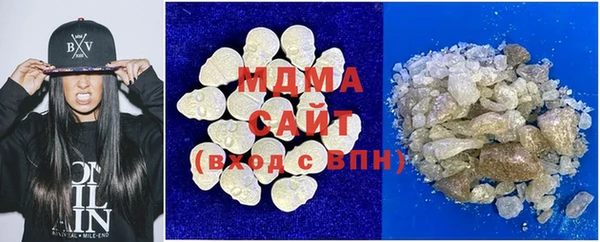 индика Богородицк