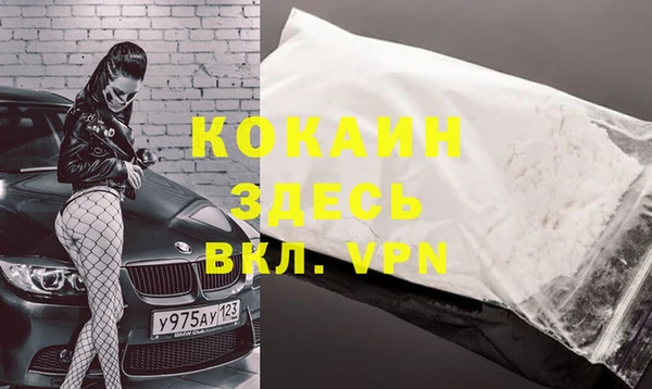 индика Богородск