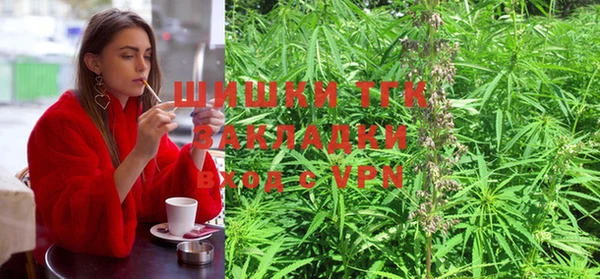 PSILOCYBIN Богданович