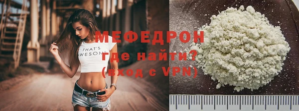 индика Богородицк