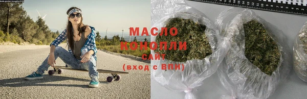 индика Богородицк