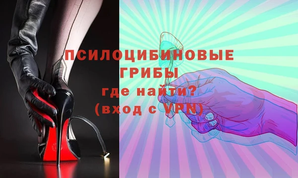 индика Богородск