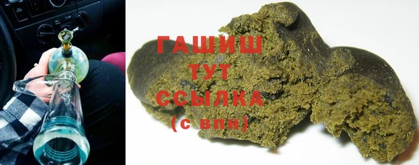 индика Богородицк