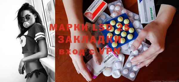 индика Богородицк