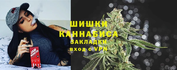 PSILOCYBIN Богданович