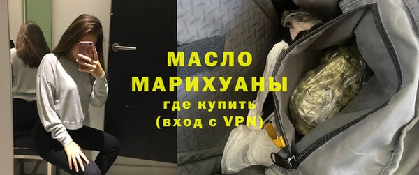 индика Богородицк