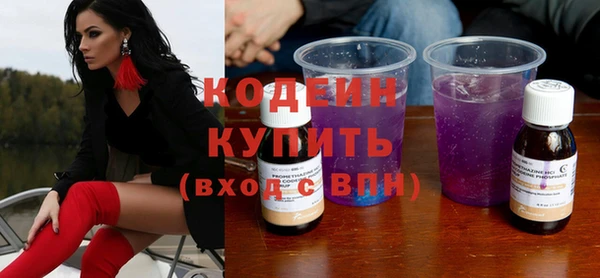 индика Богородицк
